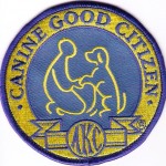 Bugle's CGC Badge
